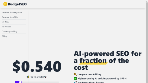 BudgetSEO - AI Technology Solution