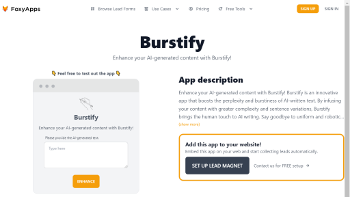 Burstify - AI Technology Solution