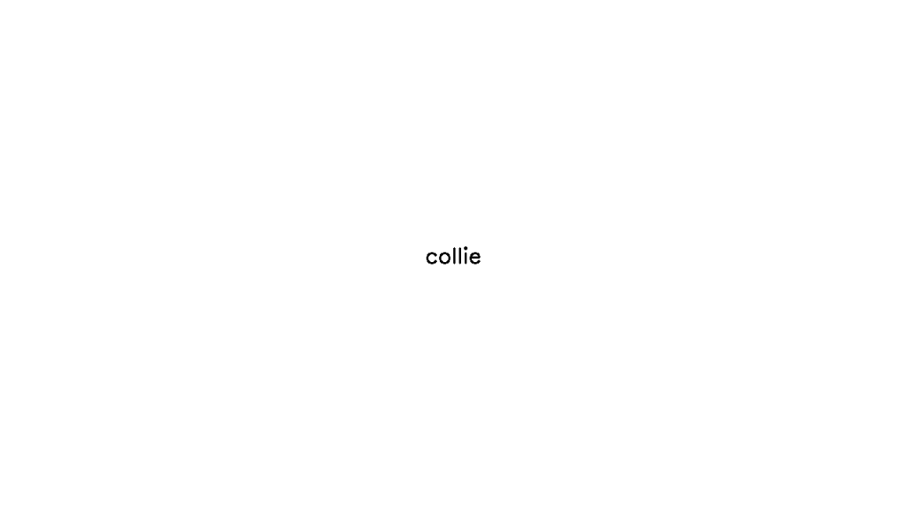 Collie - AI Technology Solution